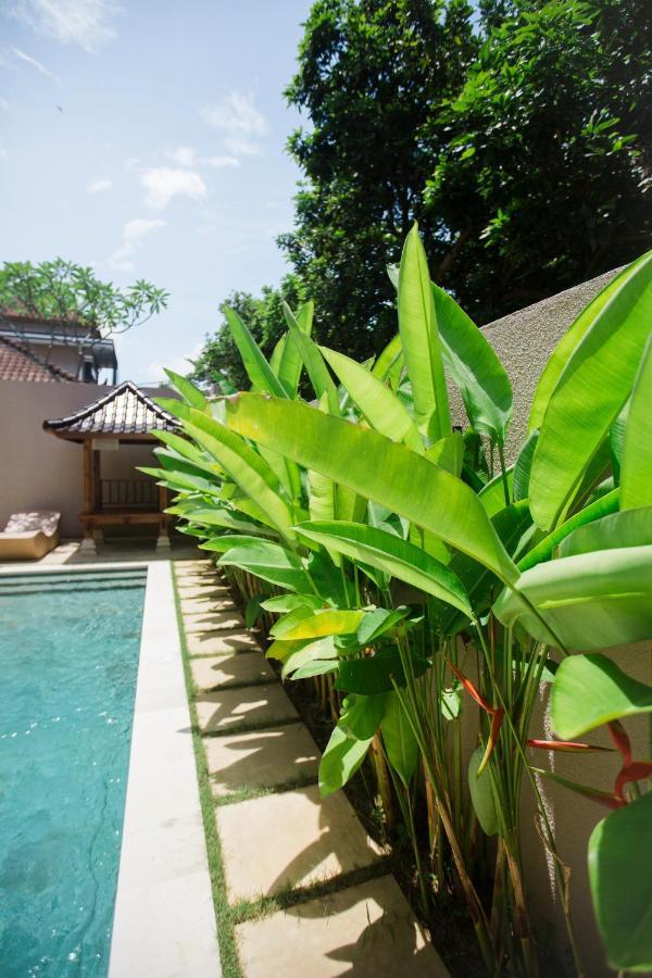 Donguri House Bali Acomodação com café da manhã Jimbaran Exterior foto